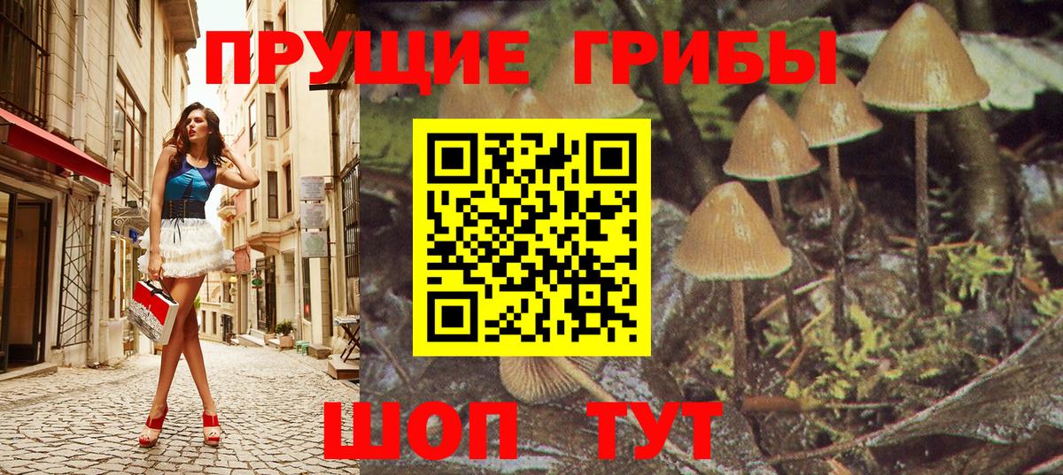Псилоцибиновые грибы ЛСД Азнакаево