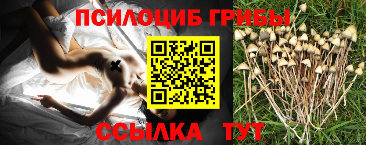 Псилоцибиновые грибы мухоморы  Псилоцибиновые грибы GOLDEN TEACHER  купить закладку  Азнакаево  Вход с VPN 
